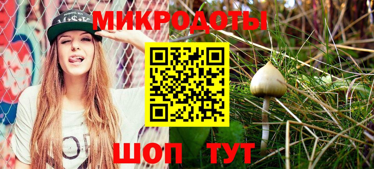 Галлюциногенные грибы Psilocybine cubensis  Псилоцибиновые грибы Psilocybine cubensis  Котлас  Вход с VPN 